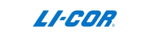 logo licor no background logo licor no background