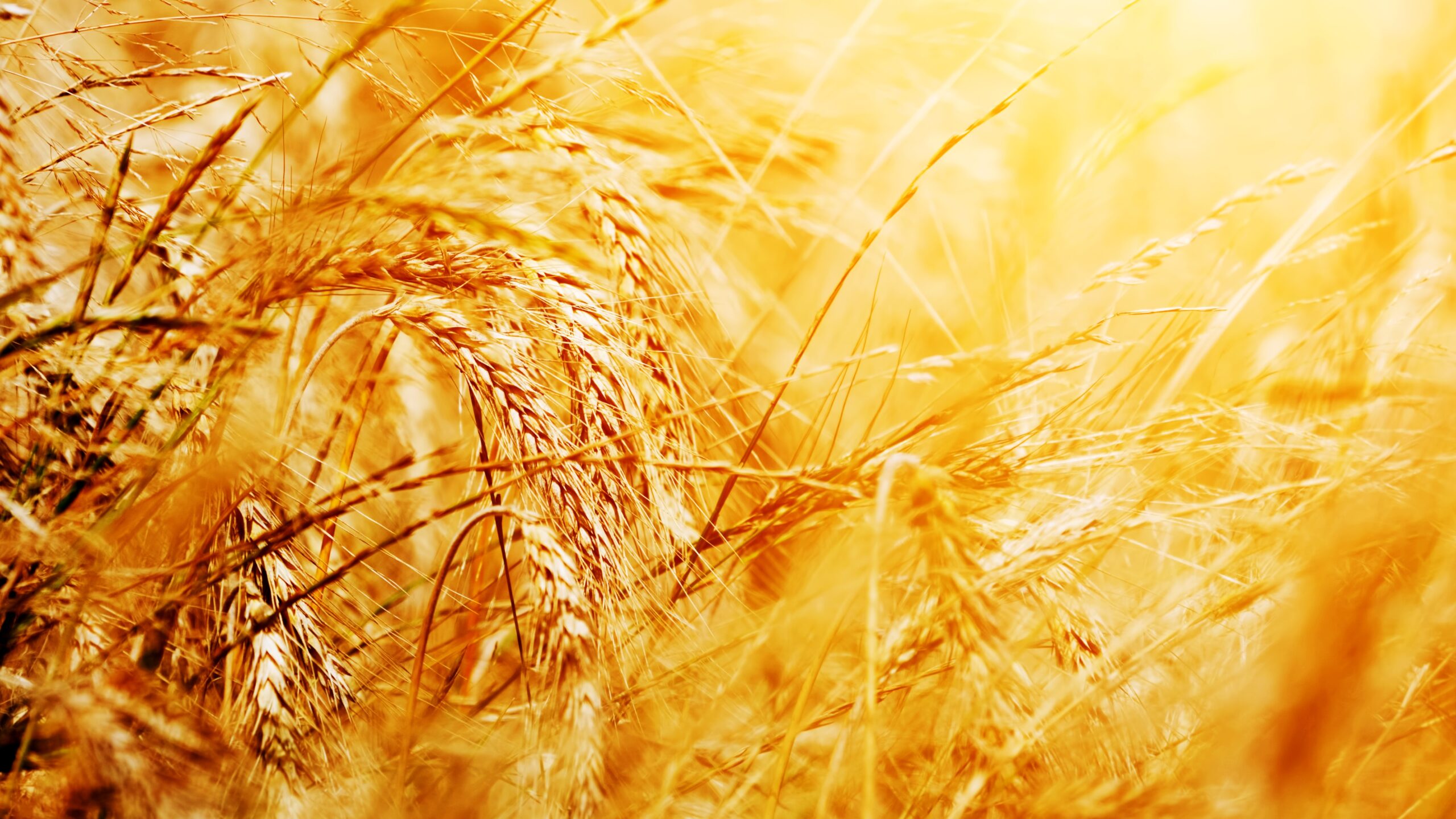 parallax background